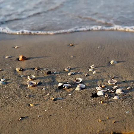 Apartment Cozy House With Private Garden And Shared Pools *